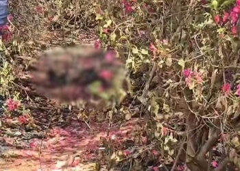 અમદાવાદના નોબલનગર નજીક કચરામાં મહિલાનો સળગેલી હાલતમાં મૃતદેહ મળ્યો, પોલીસે તપાસ હાથ ધરી | Ahmedabad:…