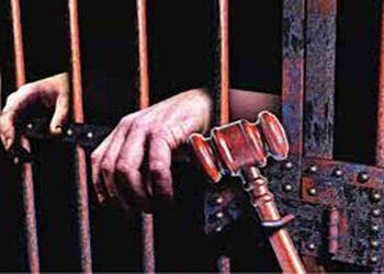 ગૌવંશની ક્રૂરતાપૂર્વક હેરફેર કરી કતલના ઈરાદે લઈ જનાર આરોપીને 7 વર્ષની કેદ | Accused of transporting …