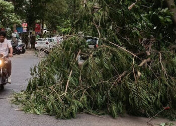 વાવાઝોડાની અસરના કારણે અમદાવાદમાં ૧૮થી વધુ વૃક્ષ ધરાશાયી થતાં ટ્રાફિક અવરોધાયો | Due to the impact o…
