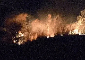 અરવલ્લી: માલપુર, મેઘરજ અને શામળાજીના ડુંગરો પર લાગી આગ, છતાં વન વિભાગ નિષ્ક્રિય હોવાનો આરોપ | Araval…