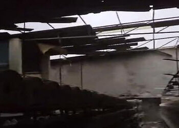 મિની વાવાઝોડામાં થાનના 20 થી વધુ સિરામિક એકમોના શેડ ઉડયા | Mini cyclone destroys sheds of more than …