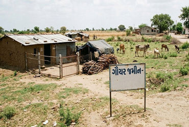 રાજકોટ જિલ્લામાં ગૌચર જમીનોમાં 511 દબાણો, અમુક 32 વર્ષ જૂના ! | 511 encroachments on grazing lands i…