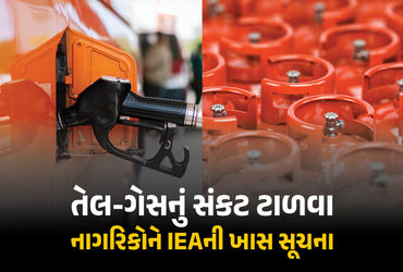 ‘વર્ક ફ્રોમ હોમ કરો અને ઉડાનો ઘટાડો… ઓઇલ સંકટ દૂર થવામાં 6 મહિના લાગશે’, IEAનું મોટું નિવેદન | Wor…