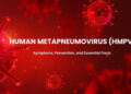 અમેરિકામાં નવો રોગચાળો : HMPV વાયરસ : તે પહેલાં સામાન્ય શરદી જેવો જ લાગે છે પછી ભયંકર બને છે | New p…