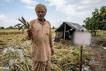ગુજરાતના ખેડૂતોને આર્થિક ફટકો: ઘઉં-ચણાના પાકને નુકસાન, કેસર કેરીને પણ ખતરો | Gujarat Farmers Hit Har…