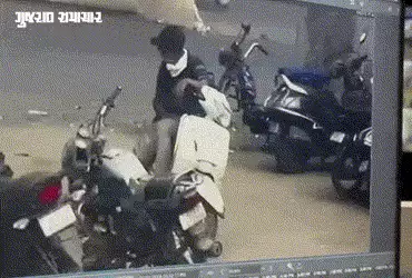 અમદાવાદનો અનોખો વાહનચોર: એક્ટિવામાં પેટ્રોલ પૂરું થાય એટલે રસ્તામાં જ છોડી દેતો, અંતે આરોપી ઝડપાયો …