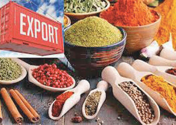 યુદ્ધને કારણે અમેરિકા ખાતે મસાલાની મોસમના પ્રારંભે જ નિકાસ રૂંધાઇ | The war halted spice exports to …