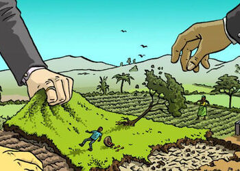 ગોત્રીની 3189 ફૂટ જમીન પડાવવા ડેવલોપરે બાેગસ સહીઓ કરાવી નકશા મંજૂર કરાવી લીધા | Developer forged own…