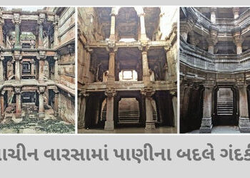 અમદાવાદની વાવમાં જળ સંકટ: પ્રાચીન વારસામાં પાણીના બદલે ગંદકી, વિશ્વ જળ દિવસે તંત્રની પોલ ખુલી | Ahme…