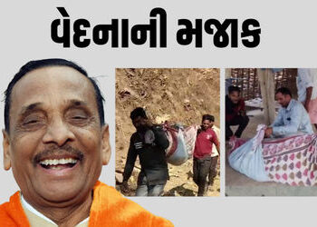 ‘ટેકરા પર મકાન હોય તો થોડી એમ્બ્યુલન્સ જાય?’, સગર્ભાને ઝોળીમાં લઈ જવા મુદ્દે ભાજપ ધારાસભ્યની અસંવેદન…