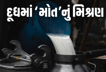નકલી દૂધ પીવાથી 16ના મોત, 3 દર્દી ICUમાં! આંધ્ર પ્રદેશમાં ‘સફેદ ઝેર’નો આતંક | Fake Milk Horror in An…