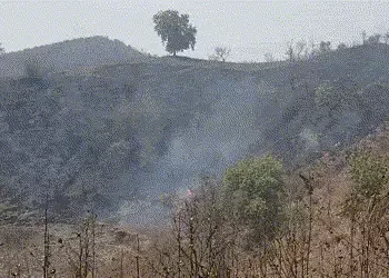 નસવાડી: નારધાના જંગલોમાં ભીષણ આગ, હજારો વૃક્ષો બળીને ખાખ, વન વિભાગની નિષ્ક્રિયતા સામે રોષ | Naswadi …