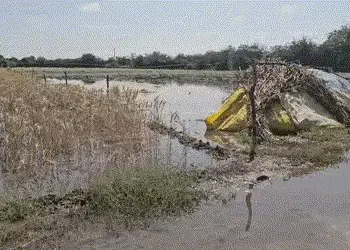 બનાસકાંઠા: સુઈગામના કોરેટીમાં કેનાલ તૂટતા 40 વીઘાના પાક પર પાણી ફરી વળ્યા, તંત્રની બેદરકારીથી ખેડૂતો…