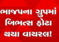 જૂનાગઢ ભાજપનાં વોટ્સએપ ગ્રુપમાં કાર્યકરે બિભત્સ લિન્ક મુકતાં વિવાદ | Controversy as worker posts obs…
