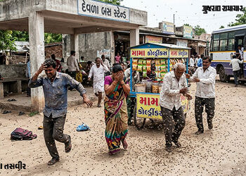 VIDEO: ધારીના દેવળા ગામે બસ સ્ટેન્ડ પાસે બેઠેલા 6 લોકો પર મધમાખીના ઝુંડનો અચાનક હુમલો, તમામને હોસ્પિ…