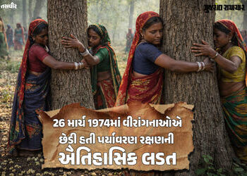 ગુજરાતનું ‘ચિપકો આંદોલન’: છોટા ઉદેપુરમાં મહુડાના વૃક્ષો બચાવવા આદિવાસી મહિલાઓએ છેડ્યો હતો જંગ | Chip…