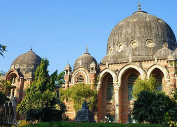 ગોધરાની ગોવિંદ ગુરુ યુનિ.ના અધ્યાપકે એમ.એસ.યુનિ.માં બદલી માટે અરજી કરી | transfer application of tea…