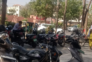 સાયન્સ સિટી વિસ્તારમાં ૧૨ વૃક્ષોનુ નિકંદન કઢાયું, અમદાવાદમાં ૧૫ વર્ષમાં ૧૫ હજાર વૃક્ષોનું ગેરકાયદે ન…