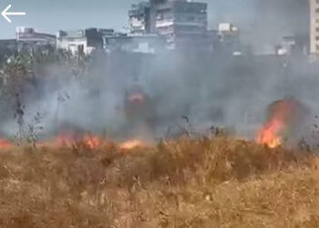 સયાજીગંજ પરશુરામ ભઠ્ઠાની જમીનમાં ઝાડીઓમાં આગ | fire breaks out in the bushes of a plot in sayajigunj