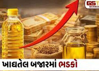 વિક્રમી પાકનો લાભ તો દૂર ઉલ્ટુ મોંઘવારી, સિંગતેલ 3000ને પાર | The benefits of record crops are far f…