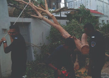 હાલારના બંને જિલ્લામાં ફૂંકાયેલા વાવાઝોડાના કારણે વીજ તંત્રને થયેલી નુકસાની બાદ તમામ ગામોમાં વીજ પુર…