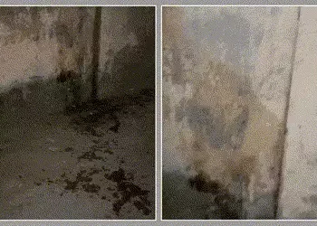 અમદાવાદ: નરોડામાં યુવતી પર એસિડ જેવું જ્વલનશીલ પ્રવાહી ફેંકી હુમલો, પિતા પર શંકાની સોય | Woman Attac…