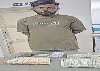 લીંબડીમાં ટ્રાન્સપોર્ટની ઓફિસમાં ચોરી કરનાર શખ્સ ઝડપાયો | Man arrested for stealing from transport o…