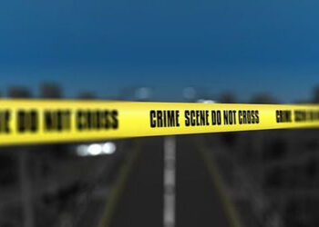 ભાવનગર: વાળુકડ ગામે જાહેરમાં યુવાનની છરીના ઘા ઝીંકી હત્યા, હુમલાના દ્રશ્યો કેમેરામાં કેદ | Youth Die…