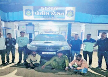 પશુ ચોર ટોળકીના 3 આરોપીઓ 4.56 લાખની મત્તા સાથે ઝડપાયા | 3 accused of cattle theft gang arrested with…