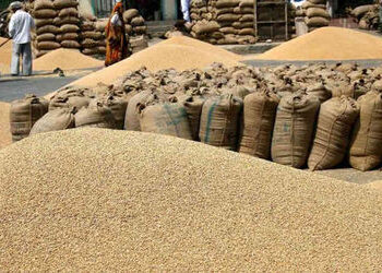 ટેકાના ભાવે ઘઉની ખરીદી આગામી 15 મે સુધી કરાશે, પ્રતિ હેક્ટર 3295 કી.ગ્રાની મર્યાદા | Wheat will be p…