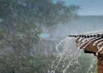 દેશમાં ડઝનેક સીસ્ટમથી માવઠાંનો માહૌલ : અમરેલી પંથકમાં વરસાદ | Dozens of systems in the country are c…