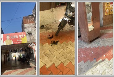 અમદાવાદ: બાપુનગરમાં અસામાજિક તત્ત્વોનો આતંક, ભાજપ કોર્પોરેટરની ઓફિસ અને વાહનોમાં તોડફોડ | Ahmedabad …