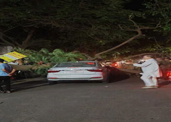 જામનગરમાં મિગ કોલોનીમાં ગઈકાલે સાંજે ભારે પવનના કારણે એક ઝાડ ધરાશાયી : કાર અને સ્કૂટર દબાતાં બે વ્યક…