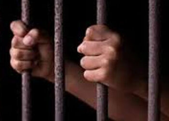 ચેક રિટર્નના કેસમાં નાસતો ફરતો આરોપી ઝડપાયો | Fugitive accused arrested in cheque return case