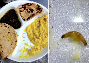 અમદાવાદ: બાપુનગર સ્થિત ESIC સંચાલિત હોસ્પિટલમાં ગંભીર બેદરકારી, ખીચડીમાં જીવાત મળતા હોબાળો | ESIC ru…