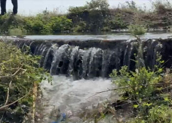 હળવદમાં નર્મદાની કેનાલમાં ગાબડું ઃ હજારો લિટર પાણીનો વેડફાટ | Gap in Narmada canal in Halvad: Thousa…