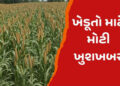 ટેકાના ભાવે બાજરી, જુવાર અને મકાઈની ખરીદી કરાશે : આજથી ફોર્મ ભરવાનું શરૂ | Millet sorghum and maize …