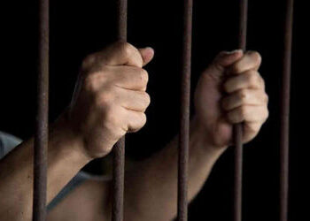 એસબીઆઈ સાથે રૂ. 1.35 કરોડની છેતરપિંડી આચનારા 6 જેલહવાલે | 6 jailed for defrauding SBI of Rs 1 35 cro…