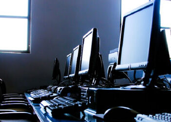 સીસીસી પરીક્ષામાં 32690 અધિકારીઓ અને કર્મચારીઓ પાસ, 11578 નાપાસ | 32000 government employee pass in …