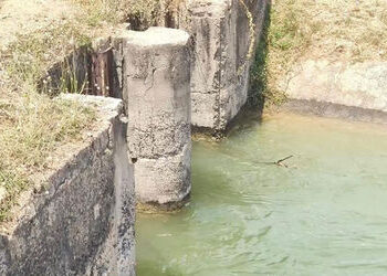 સુરેન્દ્રનગર-મોરબી બ્રાન્ચની કેનાલમાં સિમેન્ટના પોપડા ઉખડયા