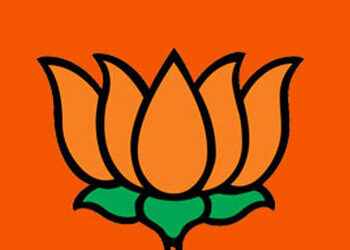 વડોદરા જિ.પં.ની 34 અને 8 તા.પં.માં ભજપની ટિકિટ મેળવવા ધસારો,લેડી ડોક્ટર ઘોડિયા અને બાળક સાથે આવી | T…