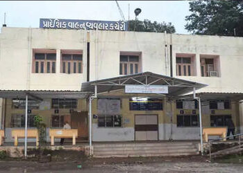 ભાવનગર આરટીઓમાં માત્ર વાહન ચેકીંગ અંતર્ગત દંડ પેટે 4.34 કરોડની આવક | Bhavnagar RTO earns Rs 4 34 cro…