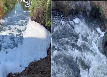 જાંબુવા નદીમાં કેમિકલની ટેન્કરો ઠાલવી જતા આંખોમાં બળતરા, શ્વાસમાં તકલીફના આક્ષેપો | eye irritation b…