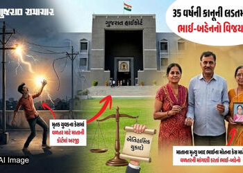 ગુજરાત હાઈકોર્ટનો ઐતિહાસિક ચુકાદો: અકસ્માત વળતરના અધિકારમાં ભાઈ-બહેનોનો પણ સમાવેશ, કોર્ટે ‘પરિવાર’ની…