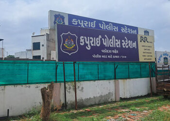 જામ્બુવા બ્રિજ પાસેથી ૧૫ પશુઓ ભરેલી ટ્રક સાથે ડ્રાઈવર-ક્લીનર ઝડપાયા | Driver cleaner caught with tru…