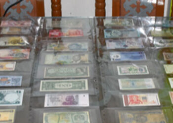 વડોદરાના એન્જિનિયર પાસે વિશ્વના ૮૨ દેશોની ‘૧’ની નોટોનો અનોખો સંગ્રહ | A unique collection of ‘1’ not…