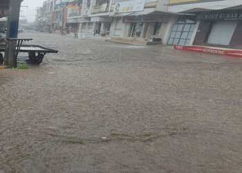 જામનગર અને દ્વારકા જિલ્લામાં ઝરમર ઝાપટાં:ભાટીયામાં તોફાની અર્ધો ઈંચ | Rain showers in Jamnagar and D…