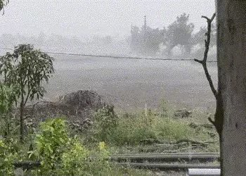 સતત બીજા દિવસે દેવભૂમિ દ્વારકામાં કમોસમી વરસાદ ખાબક્યો, 9 જિલ્લામાં ઍલર્ટ જાહેર | Gujarat Weather Al…