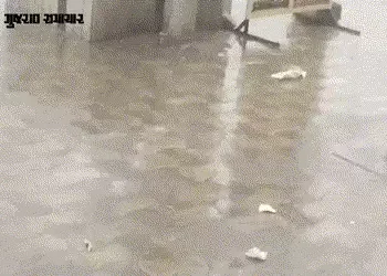 અમદાવાદમાં ભારે પવન અને કરા પડવાની સાથે કમોસમી વરસાદ | Unseasonal rain with strong winds in Ahmedaba…