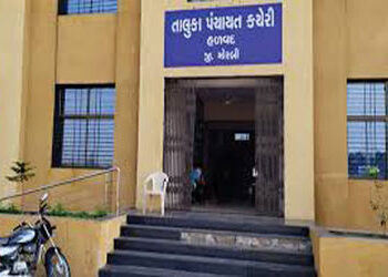 હળવદ જિલ્લા પંચાયતની 5 બેઠક માટે 37 દાવેદારોએ દાવેદારી નોંધાવી | 37 candidates filed their candidatu…